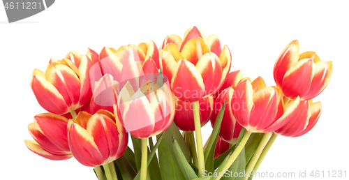 Image of Red and yellow tulips in a vase