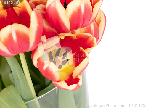 Image of Red and yellow tulips in a vase