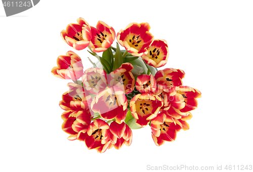 Image of Red and yellow tulips in a vase
