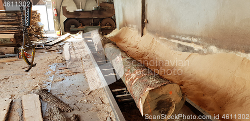 Image of Sawing timber of machining logs in sawmill 