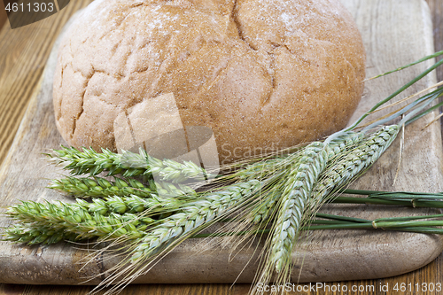 Image of Wheat ears close-up