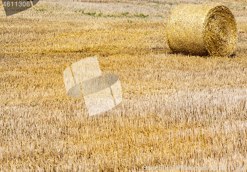 Image of Pressed straw