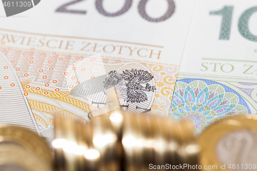 Image of Polish money, close-up