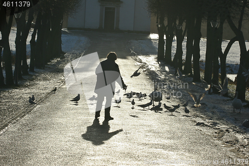 Image of Man feeding birds 