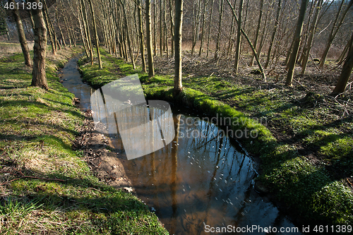 Image of River in a forest