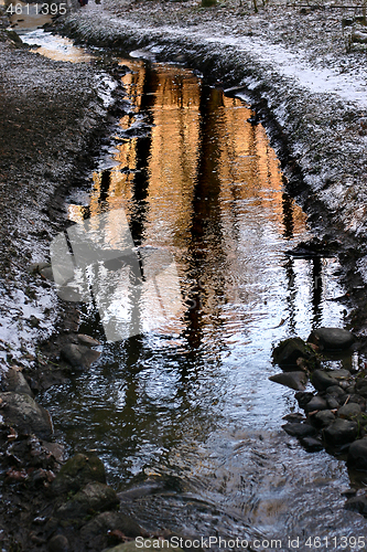 Image of River in a forest