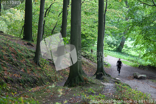 Image of People on a forest in Denmark