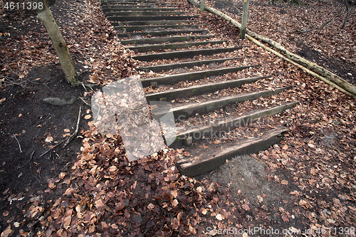 Image of Staircase in a forest in Denmark