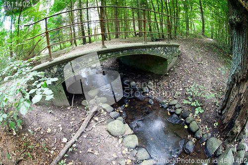 Image of River in a forest
