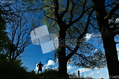 Image of Man in a forest in Denmark
