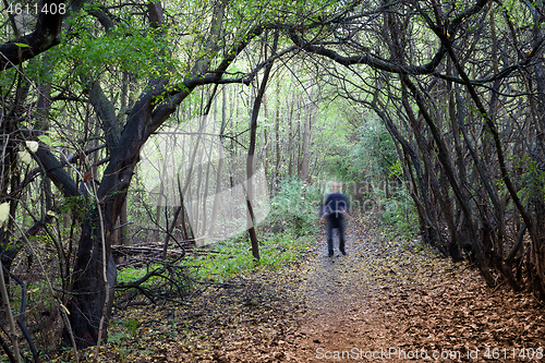 Image of People on a forest in Denmark