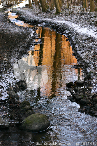 Image of River in a forest