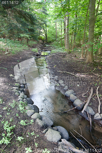 Image of River in a forest