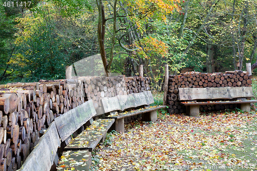 Image of tree trunk stack in a forest in Denmark