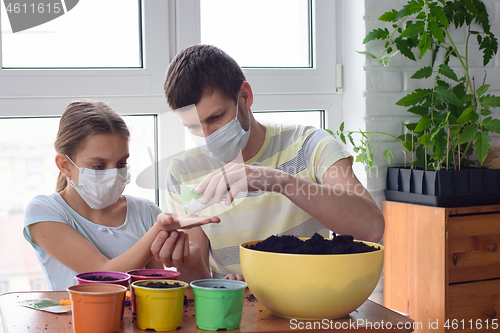 Image of Dad and daughter in quarantine at home, planting plants in pots