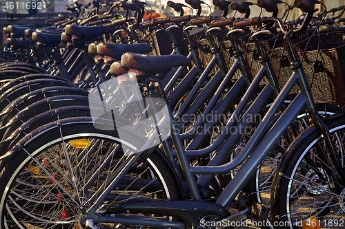 Image of Bicycles in a row