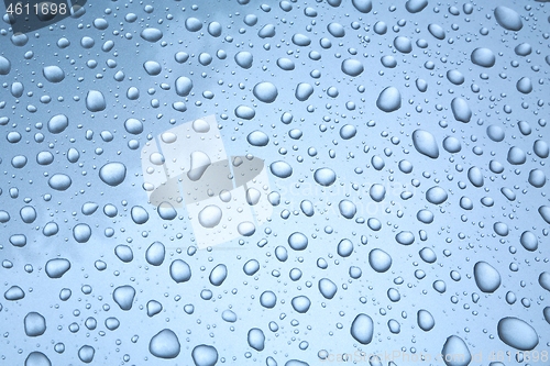 Image of Shiny Water Droplets