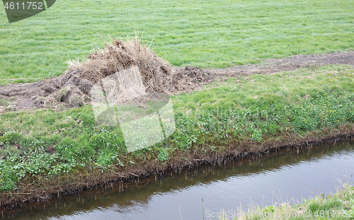 Image of Mown reed at the side of the ditch