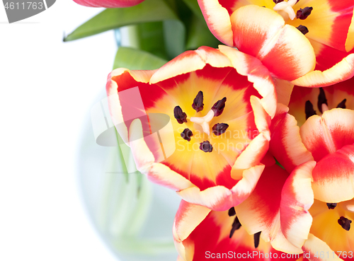 Image of Red and yellow tulips in a vase