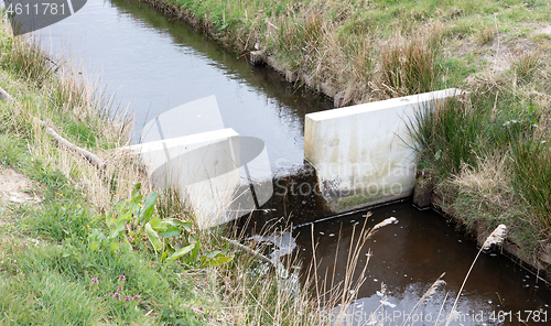 Image of Meadow with a ditch in the Netherlands