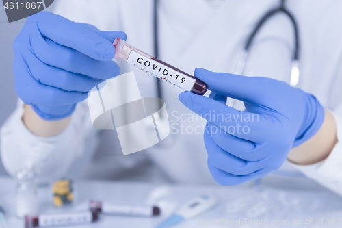 Image of Doctor hands analyzing Coronavirus COVID 19 test blood