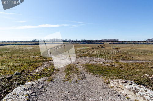 Image of Dirt roads into a great barren grassland