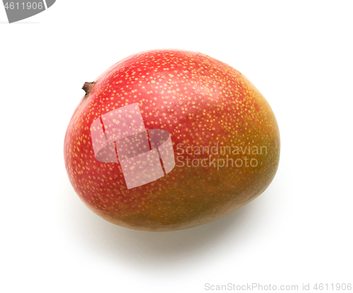 Image of fresh ripe mango fruit