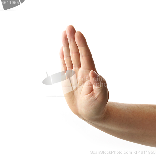 Image of human hand on white background