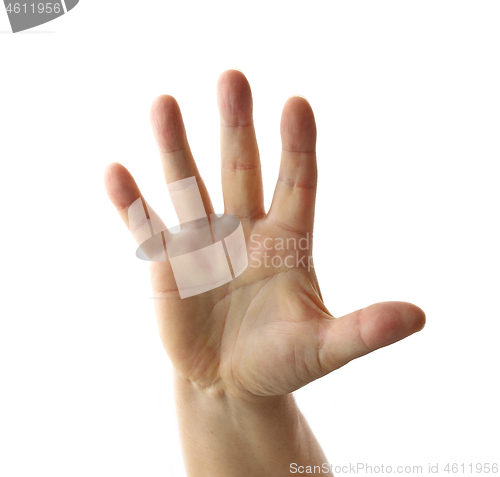 Image of human hand on white background
