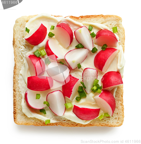 Image of toasted bread with fresh radish