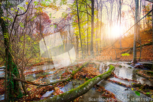 Image of Cascade mountain river