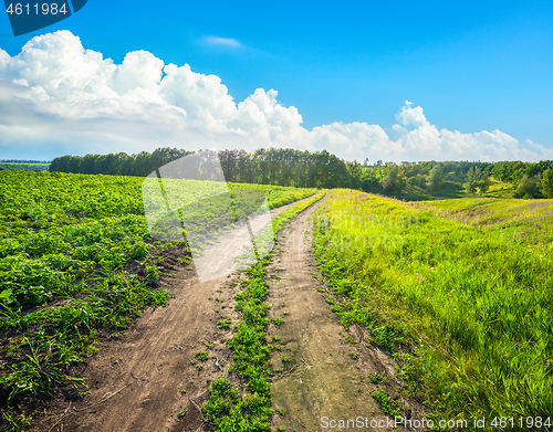 Image of Country road in sunny day