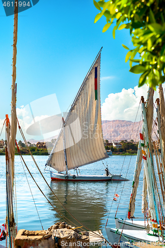 Image of Sailboats and river Nile