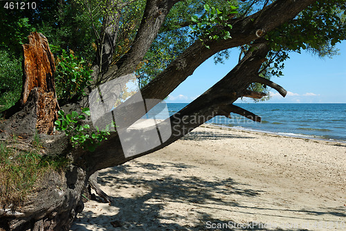 Image of Beach
