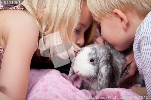 Image of Portrait of a brother and sister in studio with a rabbit