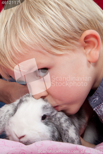 Image of Portrait of a scandinavian young boy in studio with a rabbit