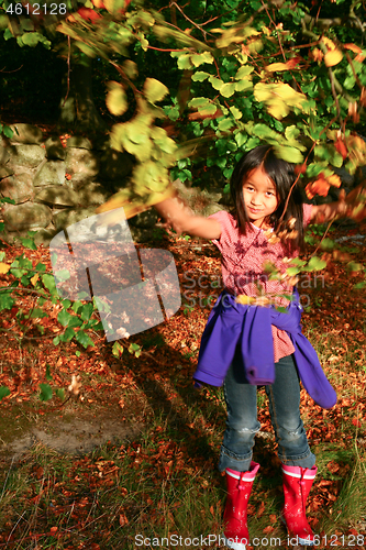 Image of Portrait of a young cute girl looking at the camera outdoor