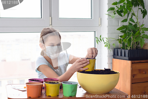 Image of A sick quarantined girl pours earth into a pot for planting plants