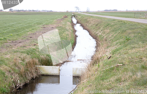 Image of Meadow with a ditch in the Netherlands