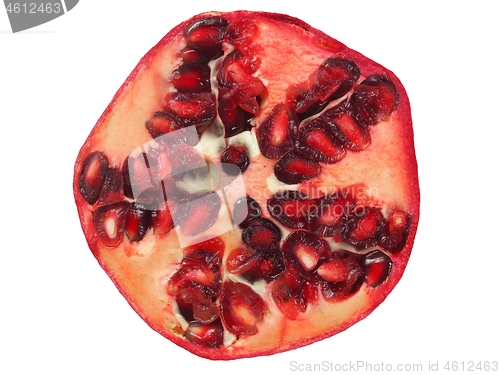 Image of Pomegranate on white