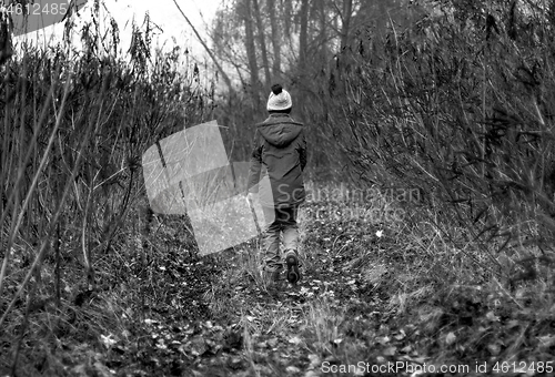 Image of Child Was Lost in the Forest