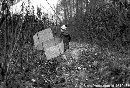 Image of Child Was Lost in the Forest