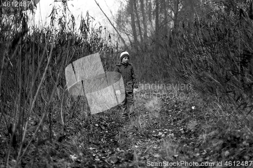 Image of Child Was Lost in the Forest