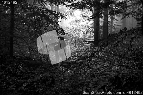 Image of Mother and son in the mystic green foggy forest