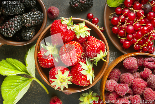 Image of berries