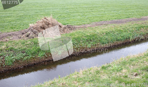 Image of Mown reed at the side of the ditch