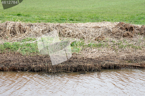 Image of Mown reed at the side of the ditch