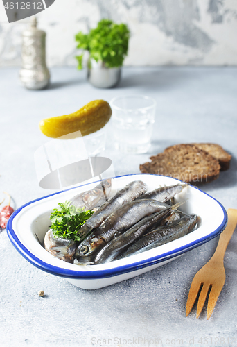 Image of fish and vodka