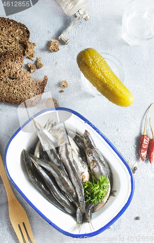 Image of fish and vodka