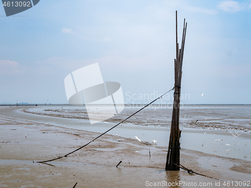 Image of Mud plains in Chachoengsao, Thailand